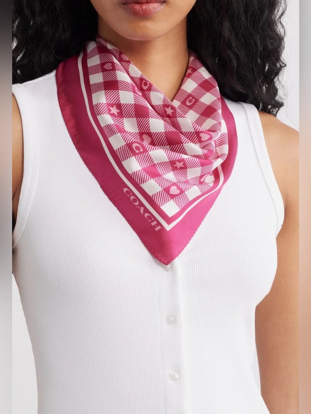 NWT💕Coach Pink Gingham Play Printed Silk Bandana Square Scarf Gift Bag Accessory